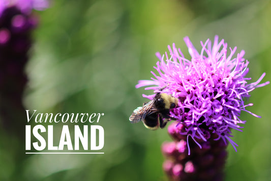 Bright Purple Flower -Glossy Fridge Magnet