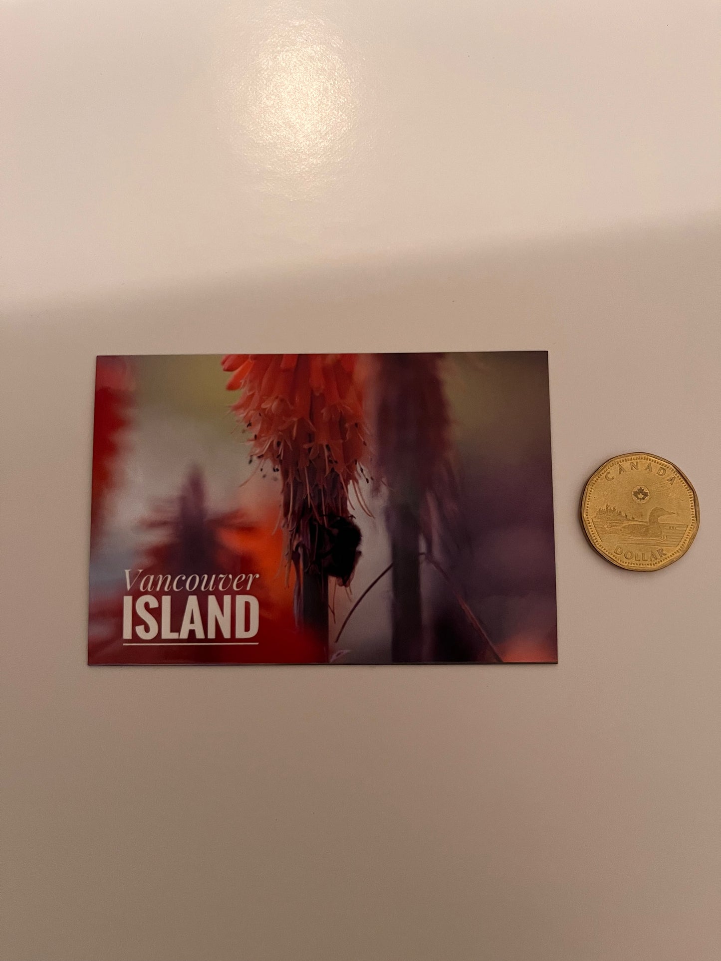 Orange Flower  -Glossy Fridge Magnet