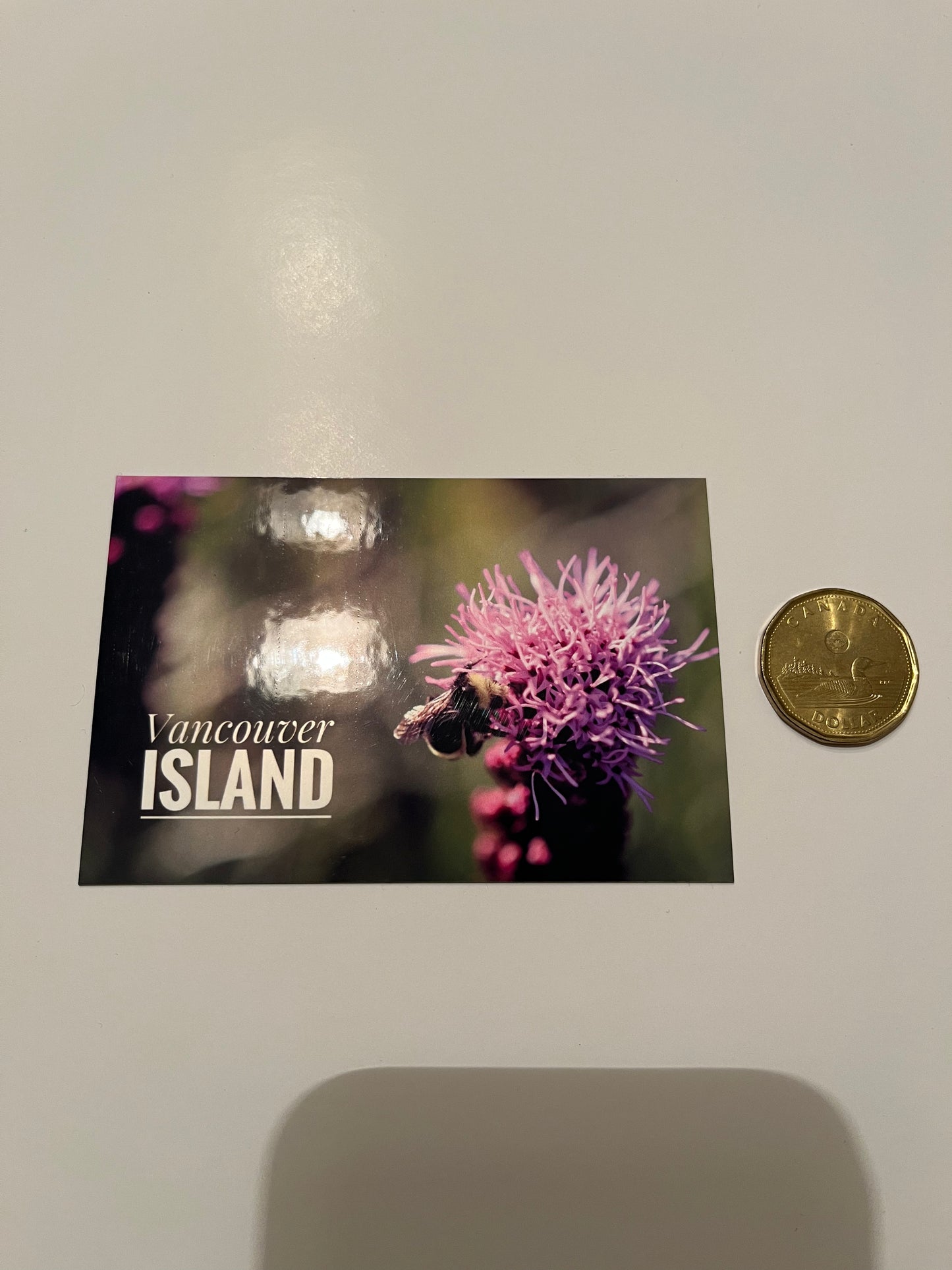 Bright Purple Flower -Glossy Fridge Magnet