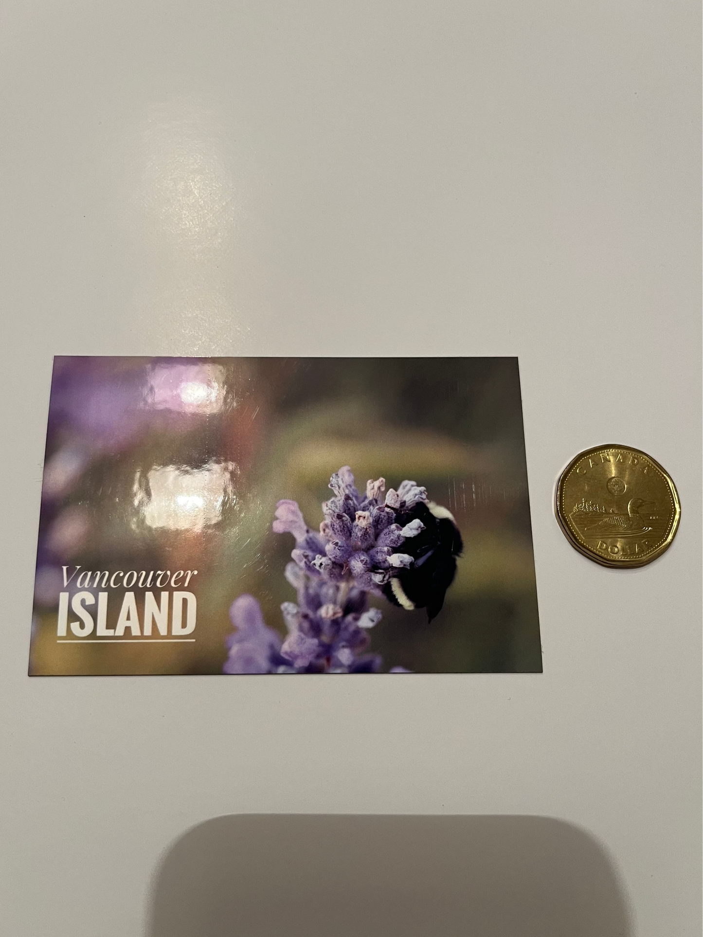 Purple Flower Bumblebee -Glossy Fridge Magnet