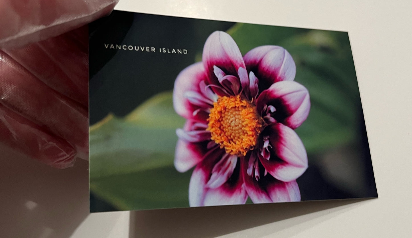 Purple Flower -Glossy Fridge Magnet